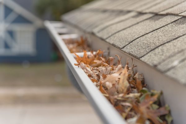 Leaf Barrier Installation in Fort Collins
